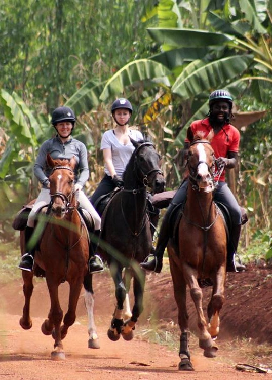 Adventure Based Incentives