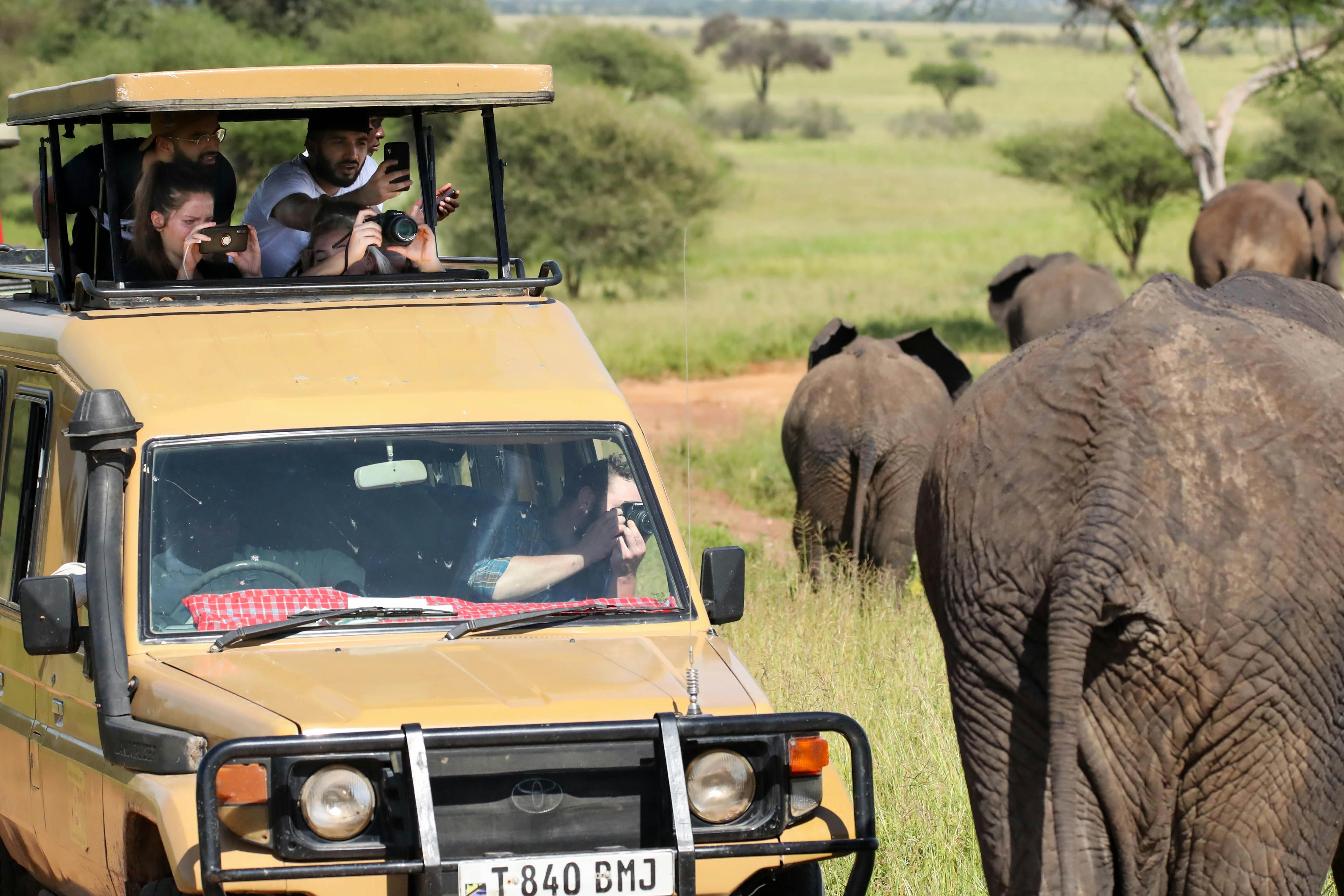 Safari Incentives
